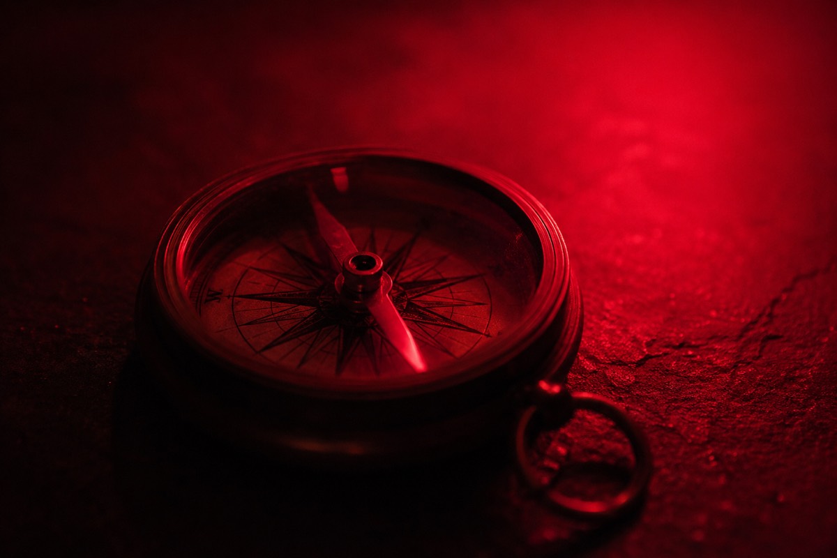 Navigating the Shifts: How the Adult Content Industry Is Changing in 2026 — and What Creators Need to Do About It