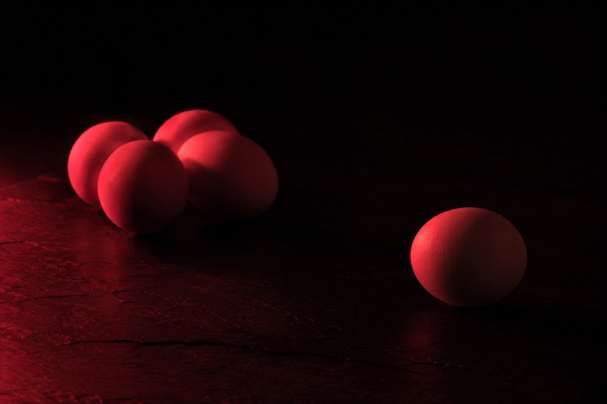 The Diversification Playbook: Why Building on a Single Platform Will Eventually Fail You